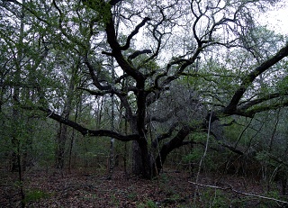 P1240070