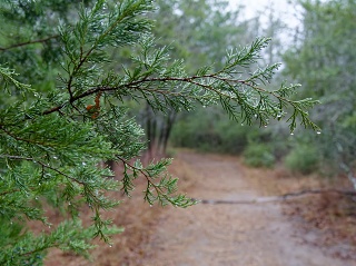 P1240105