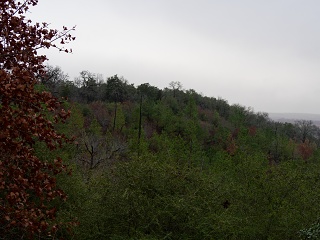 P1240148