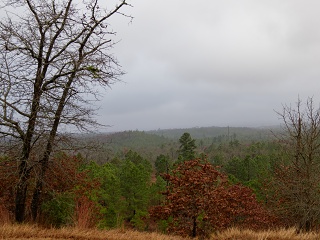 P1240196