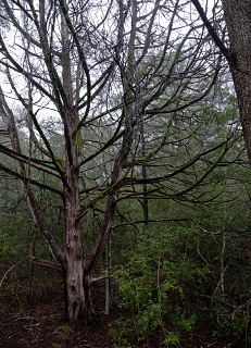 P2140016