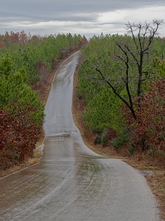 P2140148