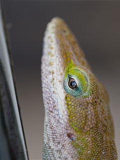 P4100608