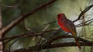 P9130267